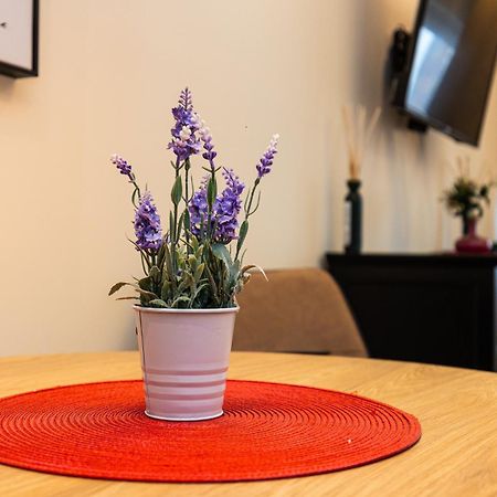 Apartment Mignon Beograd Eksteriør bilde