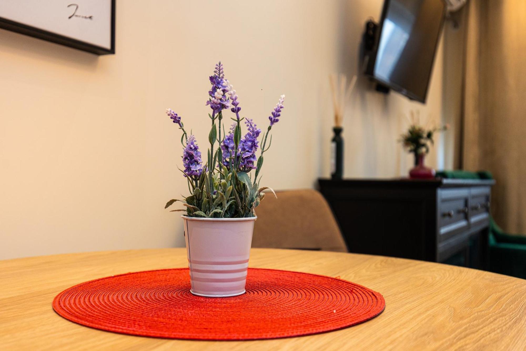 Apartment Mignon Beograd Eksteriør bilde